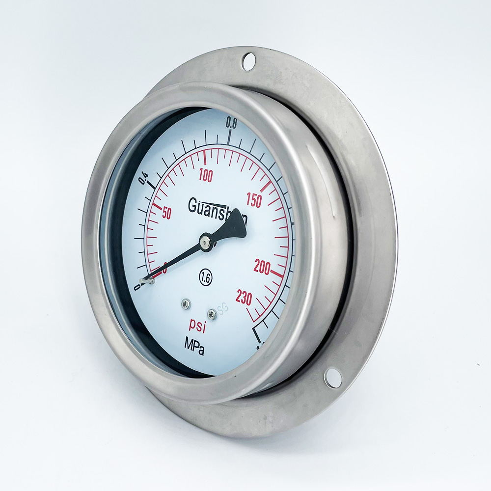 Supplier of Stainless Steel Pressure Gauge Price Options