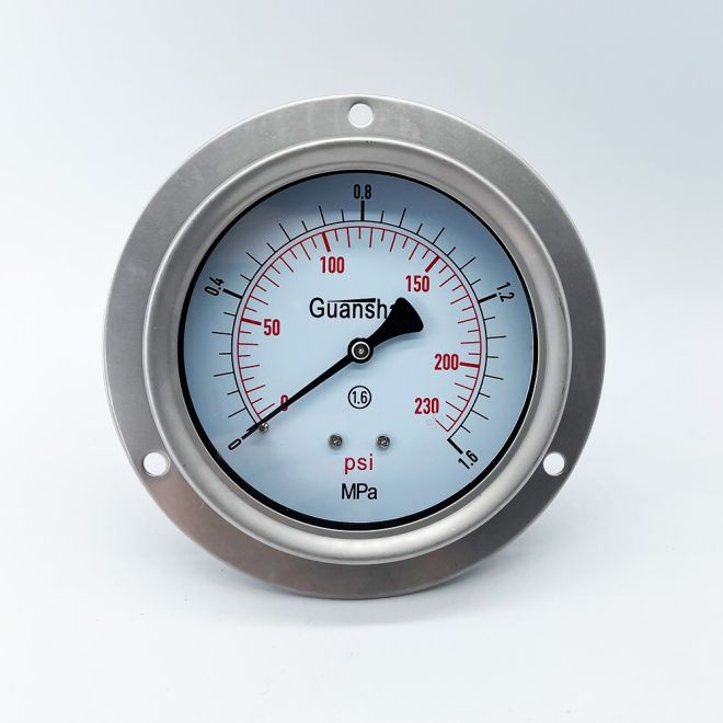 Comparative Analysis of Digital vs Analog Gas Pressure Gauges