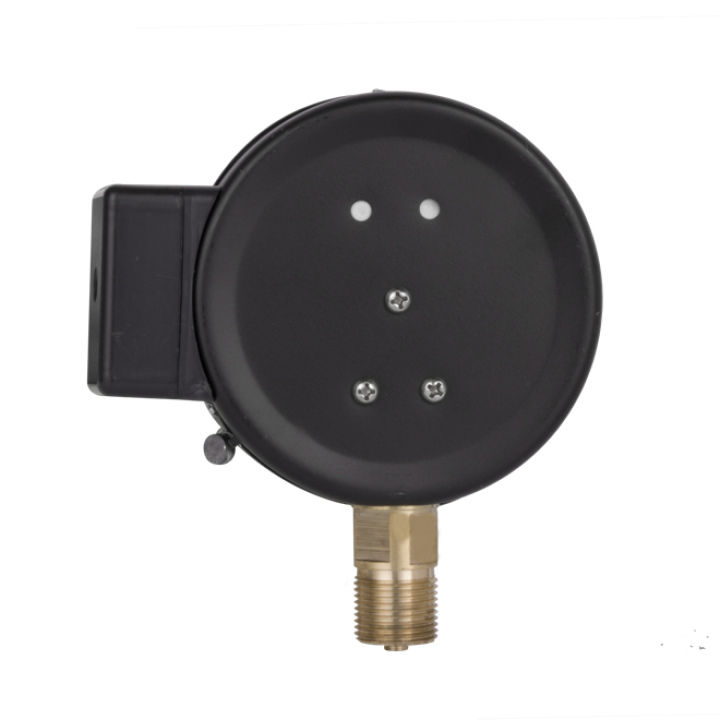 Factory-Made 3000 PSI Pressure Gauge with Safety Features